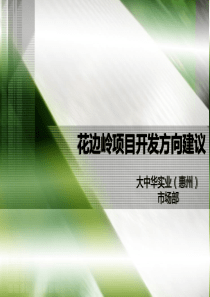 花边岭项目定位方向建议927
