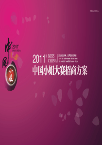 中国小姐招商方案