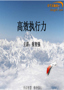 张智强：高效执行力