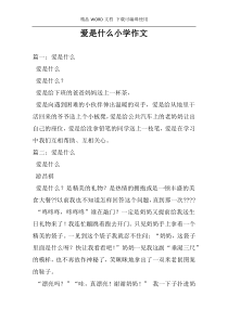爱是什么小学作文