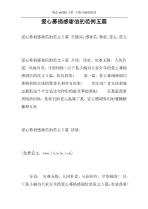 爱心募捐感谢信的范例五篇