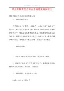 纸业有限责任公司应急演练策划案范文