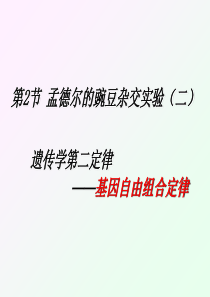 孟德尔的豌豆杂交实验(二)ppt完美版1