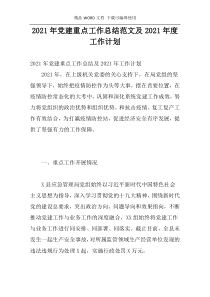 2021年党建重点工作总结范文及2021年度工作计划