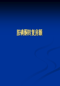 胺碘酮转复房颤-PPT课件