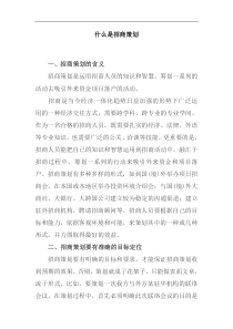 什么是招商策划