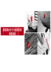 荆门长宁大道项目提案