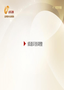 朱久文：2015省级卫视频道创意频道识别调整