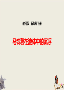 《马铃薯在液体中的沉浮》沉和浮课件完美版