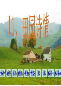 《田园诗情》ppt