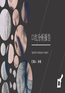 口红分析报告