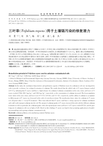 三叶草(Trifolium repens)用于土壤镉污染的修复潜力