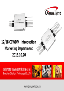 易飞扬12&18通道紧凑型粗波分复用器介绍(12&18CCWDM)
