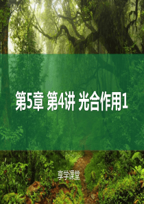 光合作用