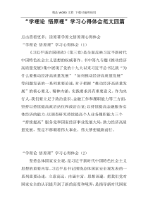 “学理论 悟原理”学习心得体会范文四篇