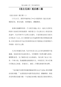 《昆仑兄弟》观后感二篇