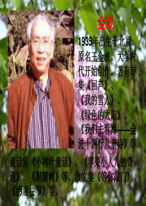 五年级上语文课件(A)-寻找幸运花瓣-沪教版【小学学科网】