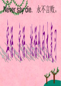 中考英语从句专题复习