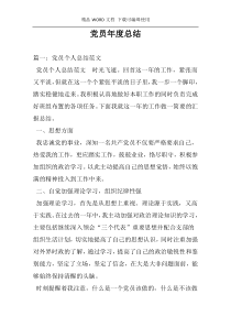 党员年度总结