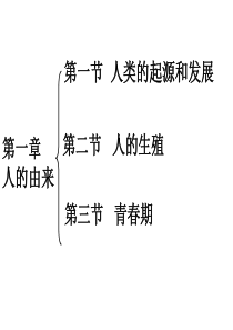 人的由来复习