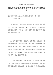 党支部班子组织生活会对照检查材料范例五篇