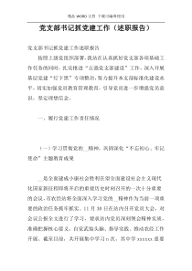 党支部书记抓党建工作（述职报告）