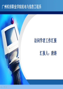 访问学者工作汇报PP