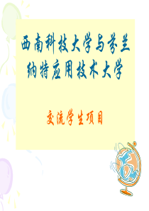 西南科技大学与芬兰纳特应用技术大学交流学生项目