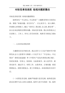 对标党章找差距 检视问题抓整改