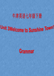 牛津英语七年级下册Unit3-Grammar课件