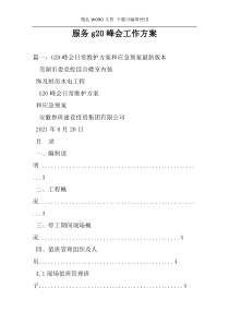 服务g20峰会工作方案