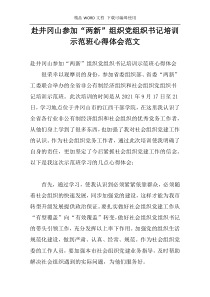 赴井冈山参加“两新”组织党组织书记培训示范班心得体会范文