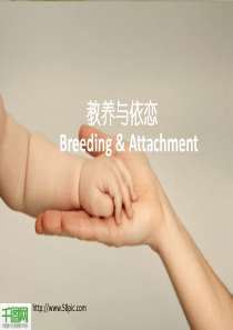 幼儿教育PPT模板