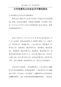 公司党委民主生活会召开情况报告