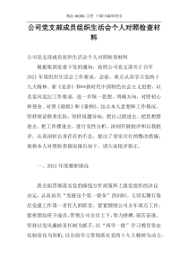 公司党支部成员组织生活会个人对照检查材料
