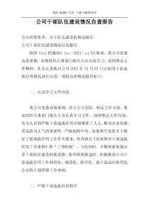 公司干部队伍建设情况自查报告