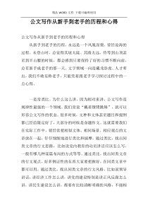 公文写作从新手到老手的历程和心得