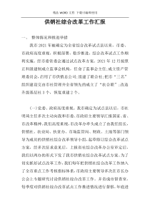供销社综合改革工作汇报