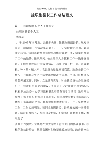 挂职副县长工作总结范文