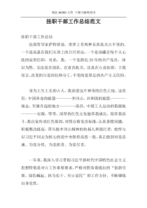 挂职干部工作总结范文