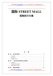 国际STREETMALL招商执行推广方案(56P)