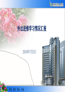 外出进修学习情况汇报