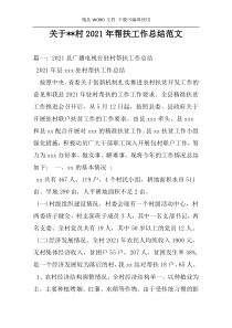 关于--村2021年帮扶工作总结范文