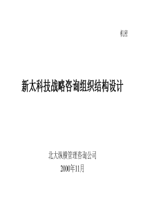 BDZH--新太科技战略咨询组织结构设计