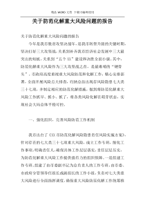 关于防范化解重大风险问题的报告