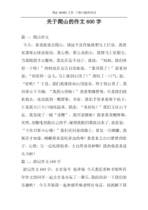 关于爬山的作文600字