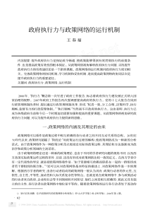 政府执行力与政策网络的运行机制
