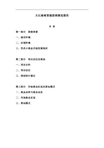 大江南商贸城招商策划报告(doc 29)