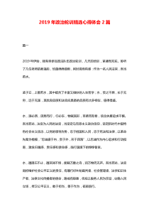 2019年政治轮训精选心得体会2篇