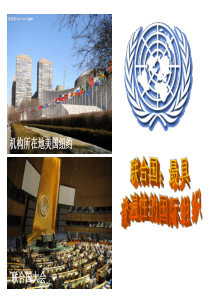 501--502  联合国：最具普遍性的国际组织